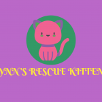 Lynn's Rescue Kittens
